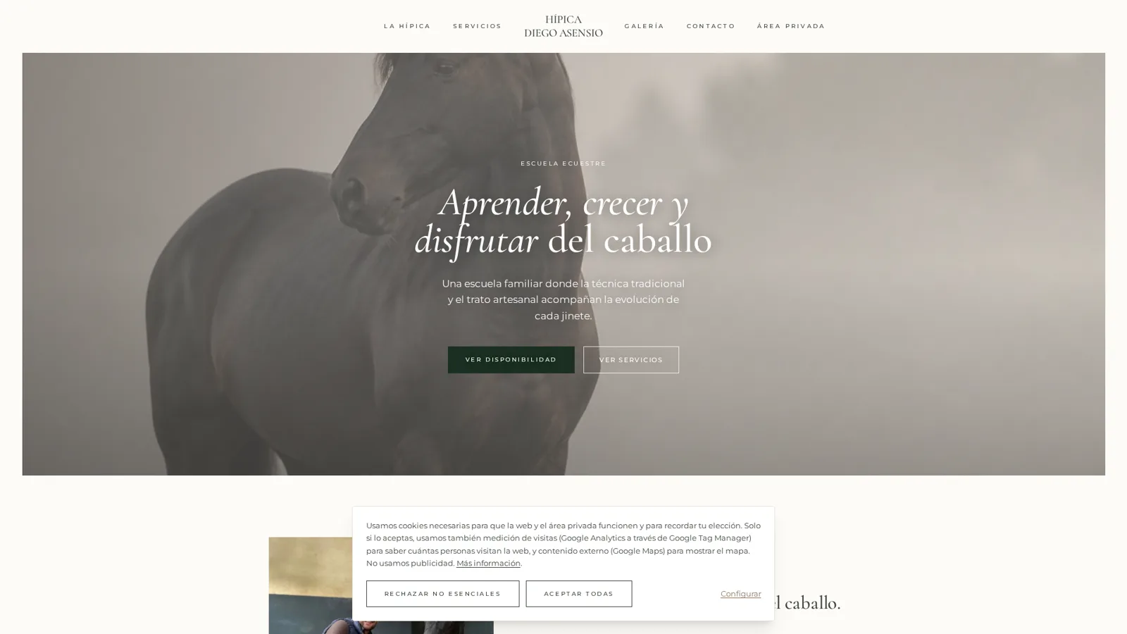 Portada de la web de Hípica Diego Asensio desarrollada por by Nicoleta